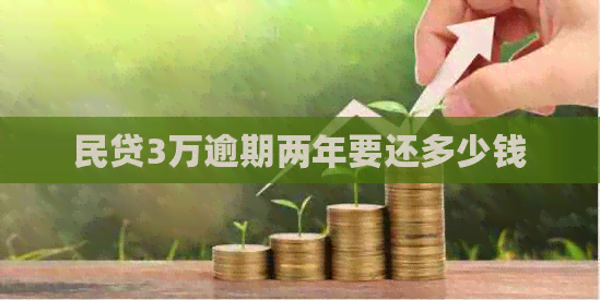 民贷3万逾期两年要还多少钱