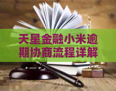 天星金融小米逾期协商流程详解