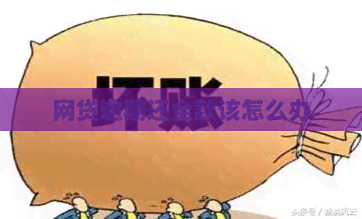 网贷逾期还全款该怎么办