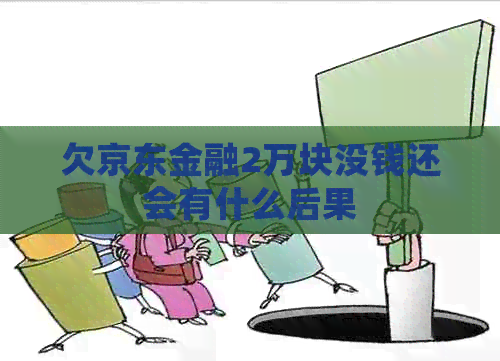 欠京东金融2万块没钱还会有什么后果