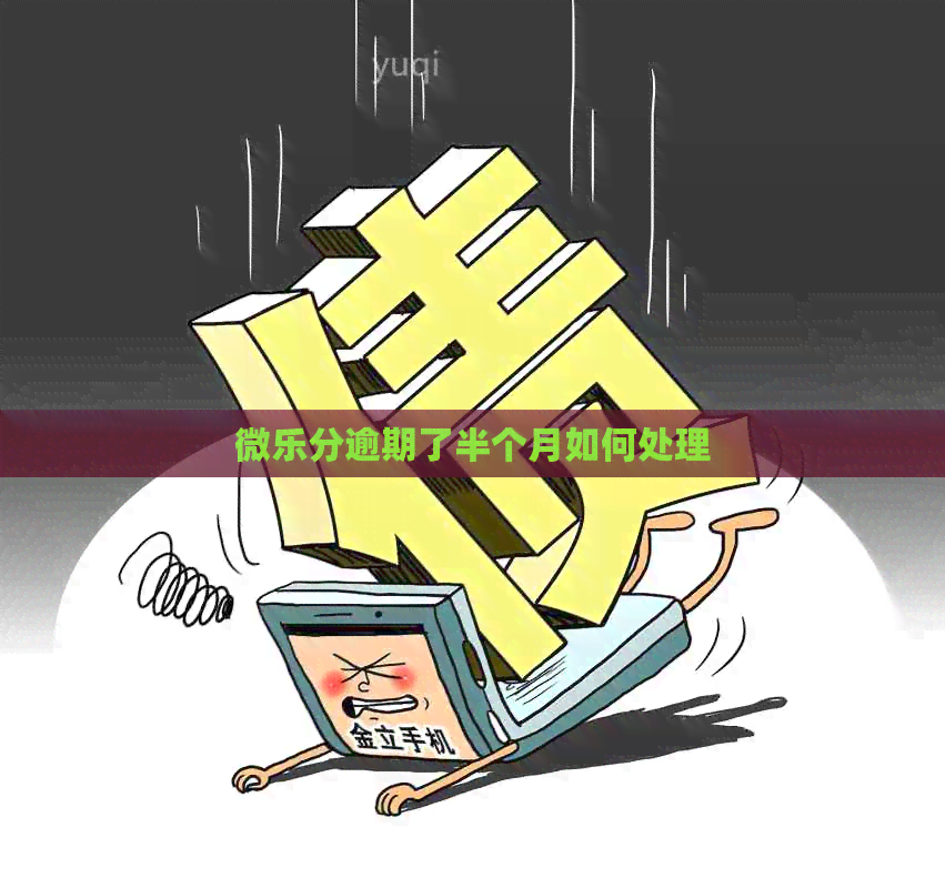 微乐分逾期了半个月如何处理