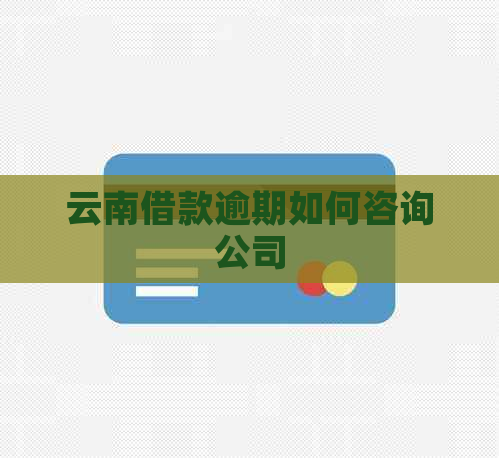 云南借款逾期如何咨询公司