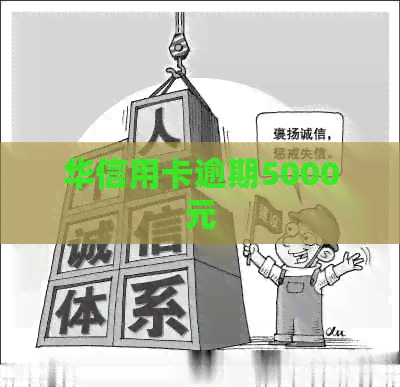 华信用卡逾期5000元