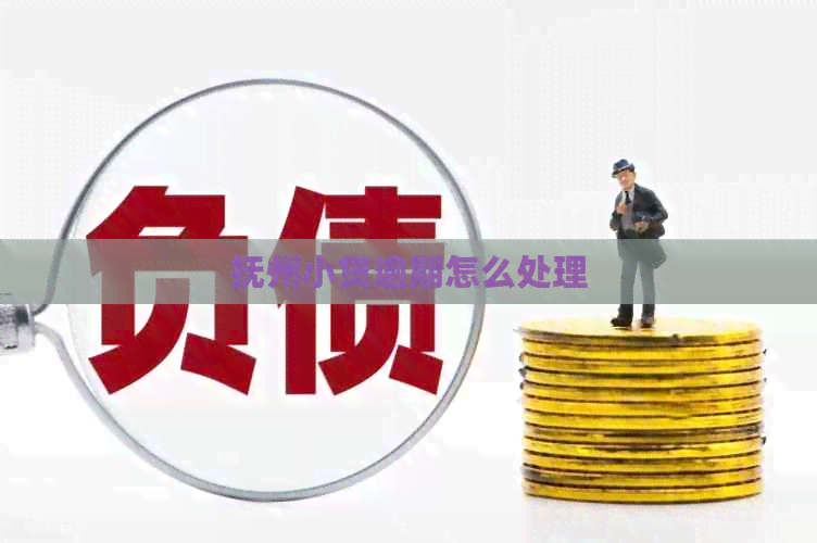 抚州小贷逾期怎么处理