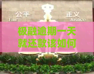 极融逾期一天就还款该如何处理