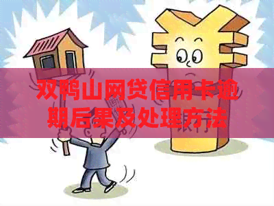双鸭山网贷信用卡逾期后果及处理方法