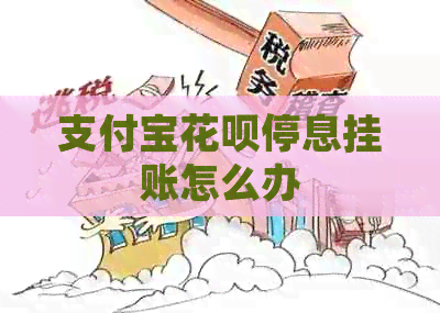 支付宝花呗停息挂账怎么办