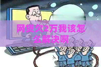 网贷欠2万我该怎么解决啊