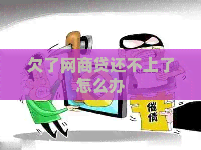 欠了网商贷还不上了怎么办