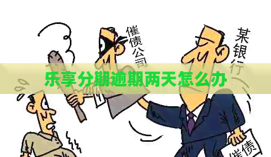 乐享分期逾期两天怎么办