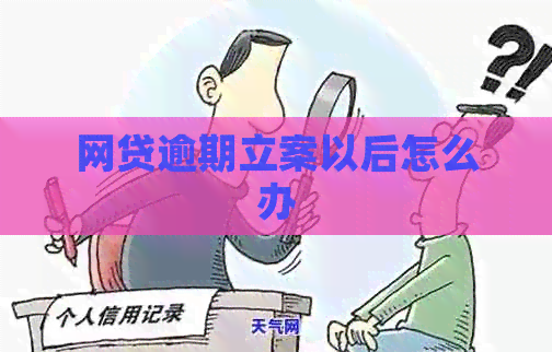 网贷逾期立案以后怎么办