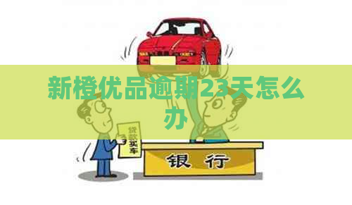 新橙优品逾期23天怎么办