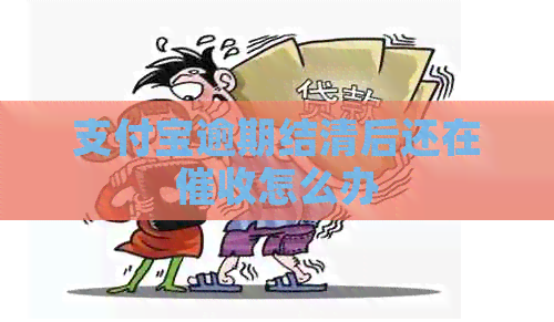 支付宝逾期结清后还在怎么办