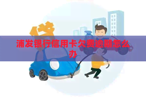 浦发银行信用卡欠费逾期怎么办