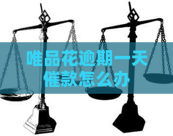 唯品花逾期一天催款怎么办