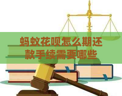 蚂蚁花呗怎么期还款手续需要哪些