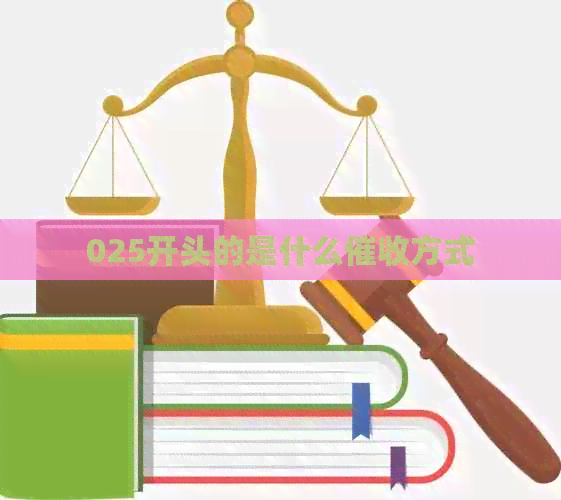 025开头的是什么方式