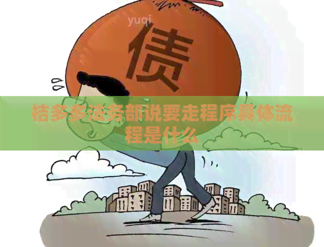 桔多多法务部说要走程序具体流程是什么