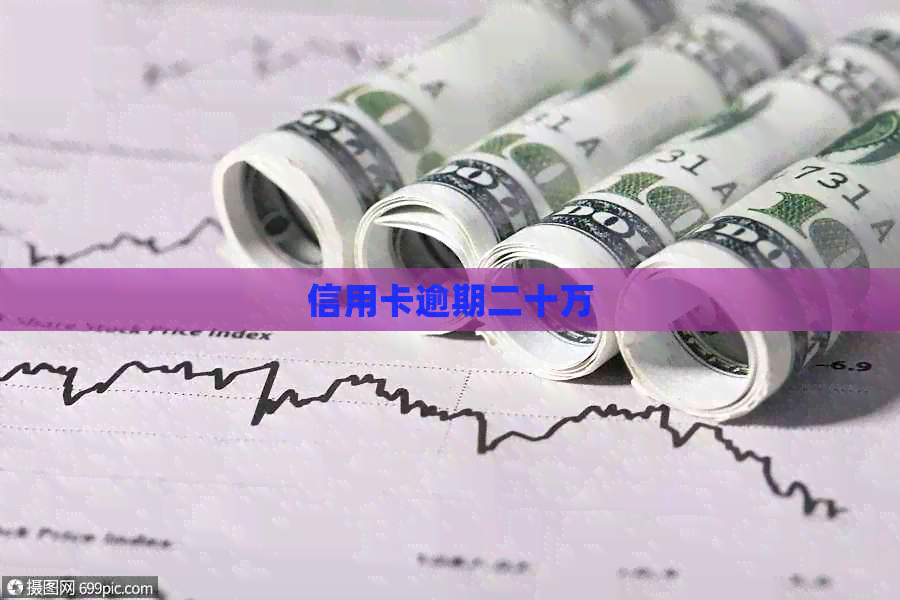 信用卡逾期二十万