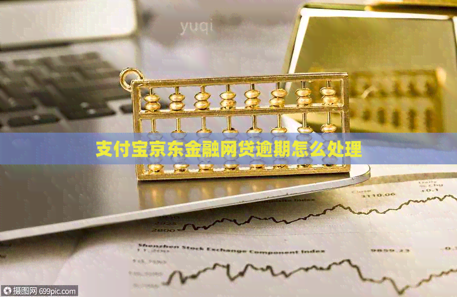 支付宝京东金融网贷逾期怎么处理