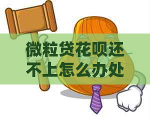微粒贷花呗还不上怎么办处理方式