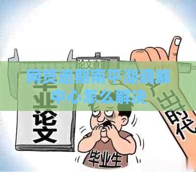 网贷逾期南平湖调解中心怎么解决