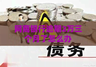 网商银行逾期2万三个月了怎么办