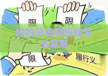 逾期热线怎么联系