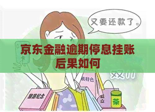京东金融逾期停息挂账后果如何