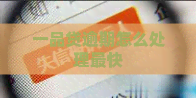 一品贷逾期怎么处理最快