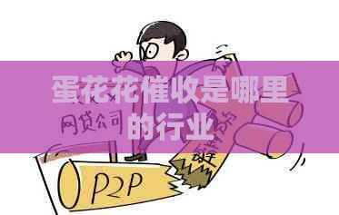 蛋花花是哪里的行业