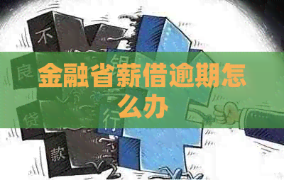 金融省薪借逾期怎么办