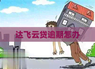 达飞云贷逾期怎办
