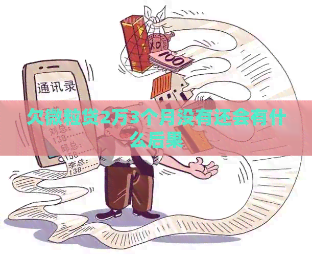 欠微粒贷2万3个月没有还会有什么后果