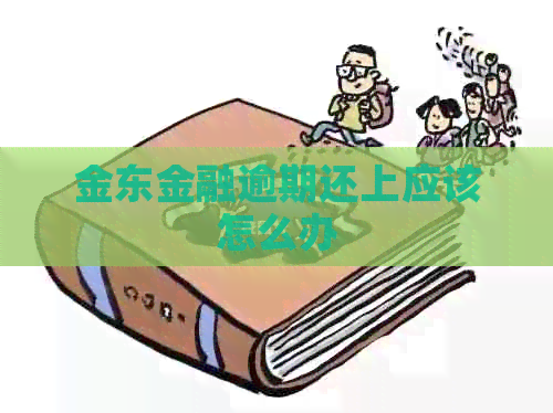 金东金融逾期还上应该怎么办