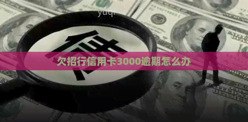 欠招行信用卡3000逾期怎么办