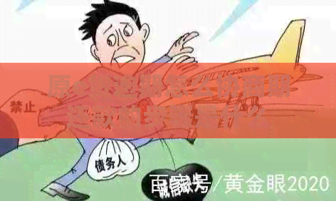 原e贷逾期怎么协商期还款的步骤是什么