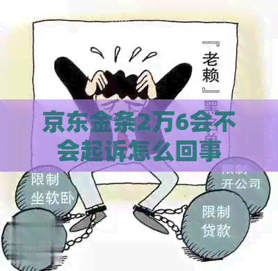京东金条2万6会不会起诉怎么回事