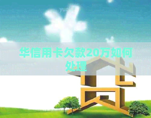 华信用卡欠款20万如何处理