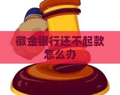徽金银行还不起款怎么办