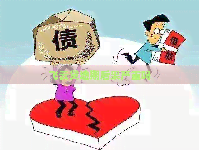 飞云贷逾期后果严重吗