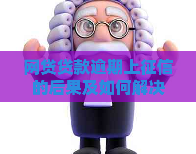 网贷贷款逾期上的后果及如何解决