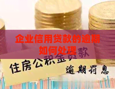 企业信用贷款的逾期如何处理