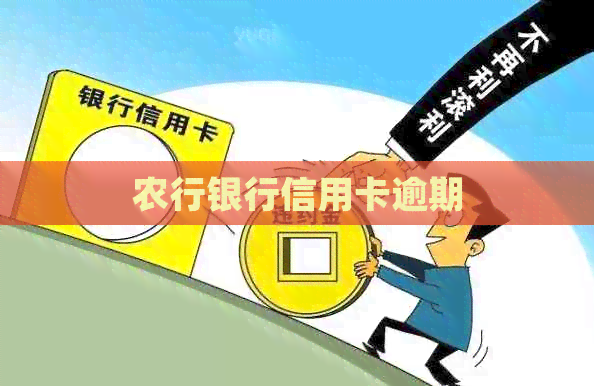 农行银行信用卡逾期