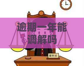 逾期一年能调解吗