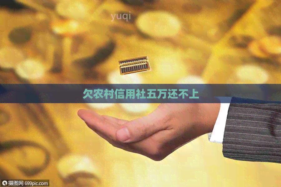 欠农村信用社五万还不上