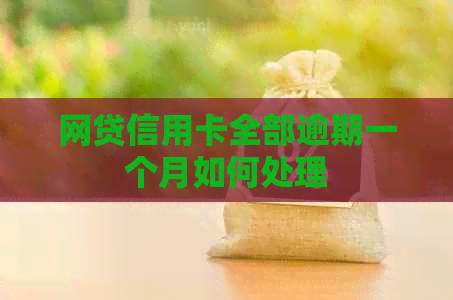 网贷信用卡全部逾期一个月如何处理