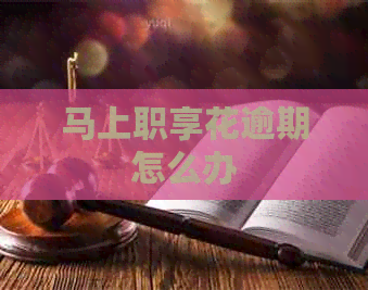 马上职享花逾期怎么办