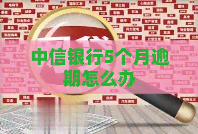 中信银行5个月逾期怎么办