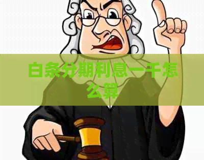 白条分期利息一千怎么算